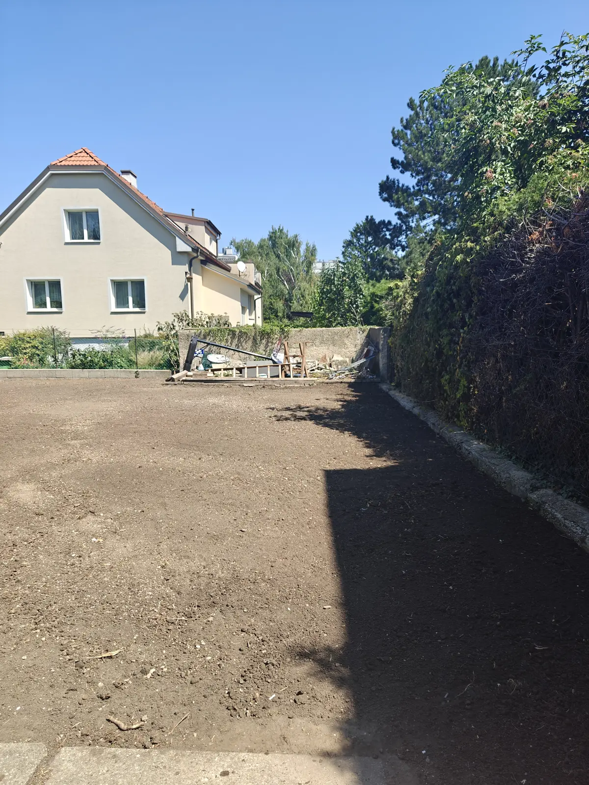 Očišćen i pripremljen teren nakon sečenja stabla, freziranja panja i obrade zemlje