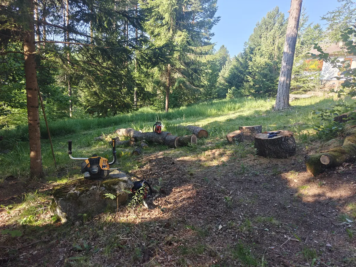 Posečena stabla i delovi drveta na terenu tokom radova u Sopotu